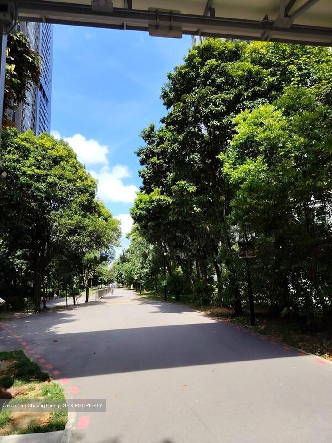 Blk 43A Skyoasis @ Dawson (Queenstown), HDB 3 Rooms #523137111
